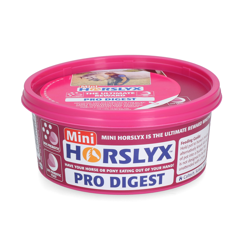 Horslyx Mini Spijsvertering