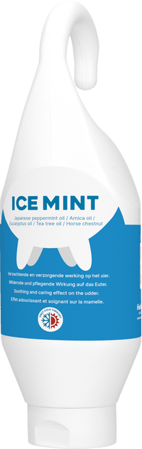 Ice Mint Gel Sta en hangtube 500 ml