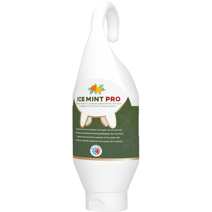 
  Ice Mint Pro Gel Sta- / Hangtube 500 ml - artikelnummer ICEM2907
