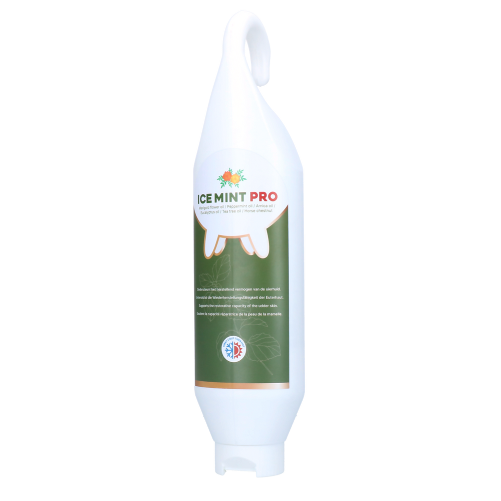 Ice Mint Pro Gel Sta- / Hangtube 1 l