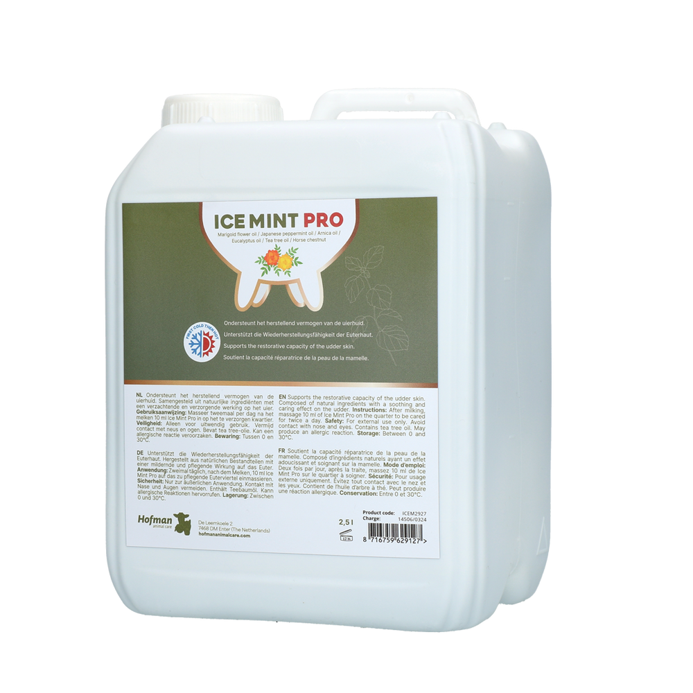 Ice Mint Pro Gel 2,5 l incl. dosator