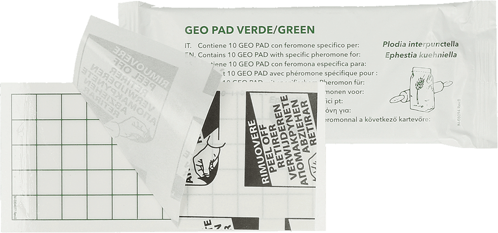 Geo Lijmplaat Levensmiddelenmot