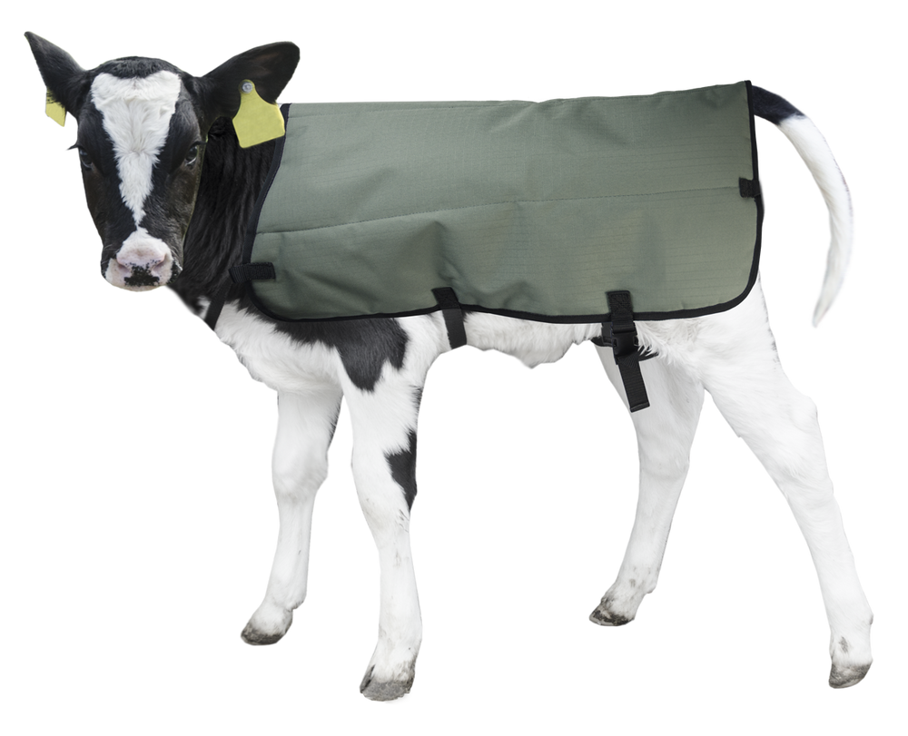 Calf Coat Kalverdek 80 cm