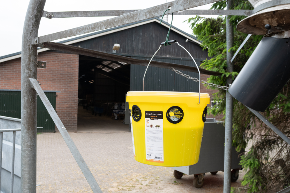 Knock Pest FlyNip VliegenEmmer (incl. traktatie)