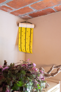 Knock Pest Vliegenkleefrol Geel 5 m