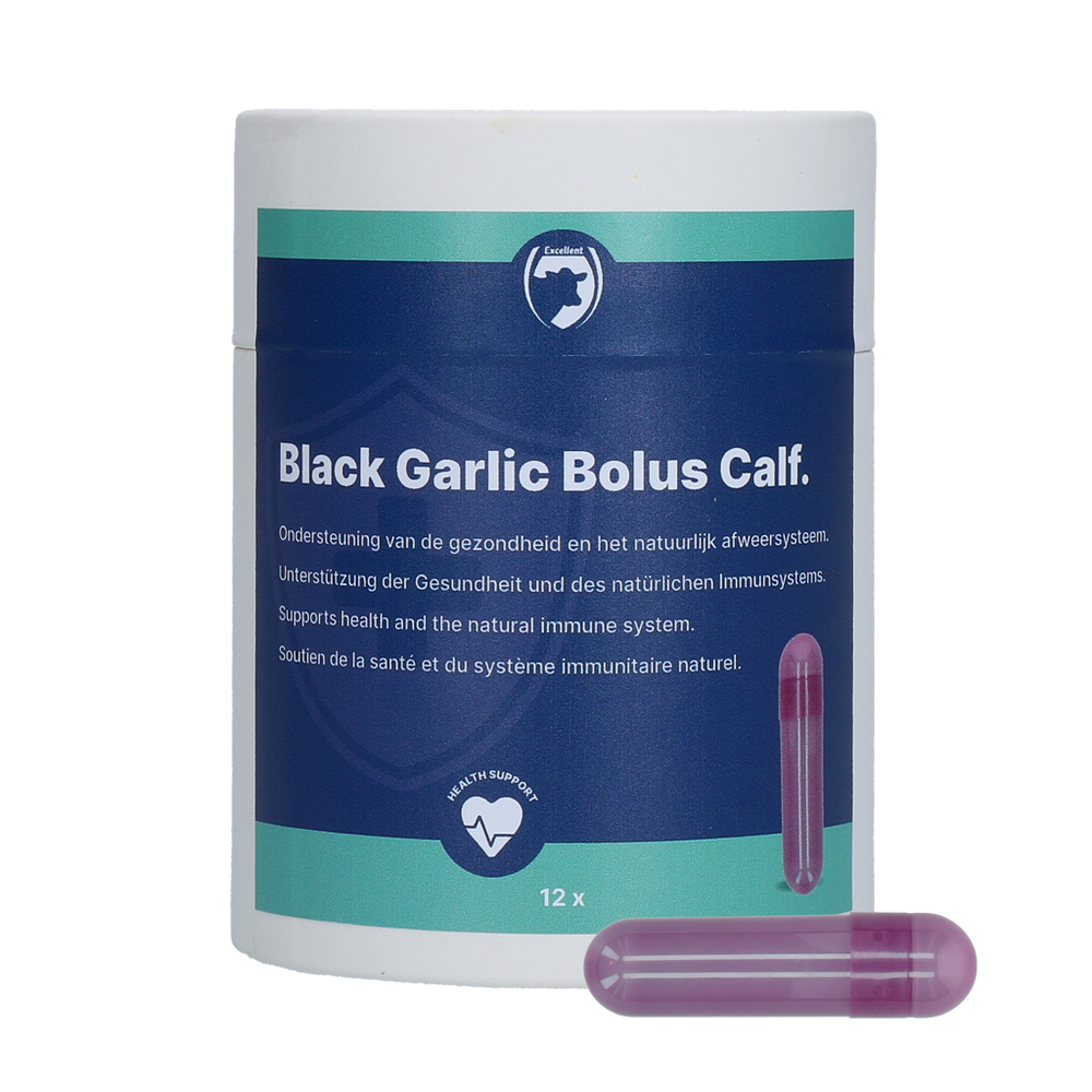 Excellent Black Garlic Bolus Kalf