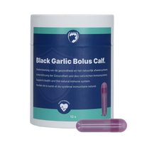 Excellent Black Garlic Bolus Kalf
