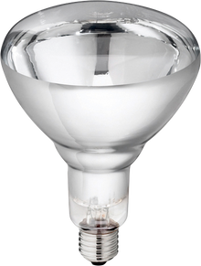 Hard Glas Lamp 150 W