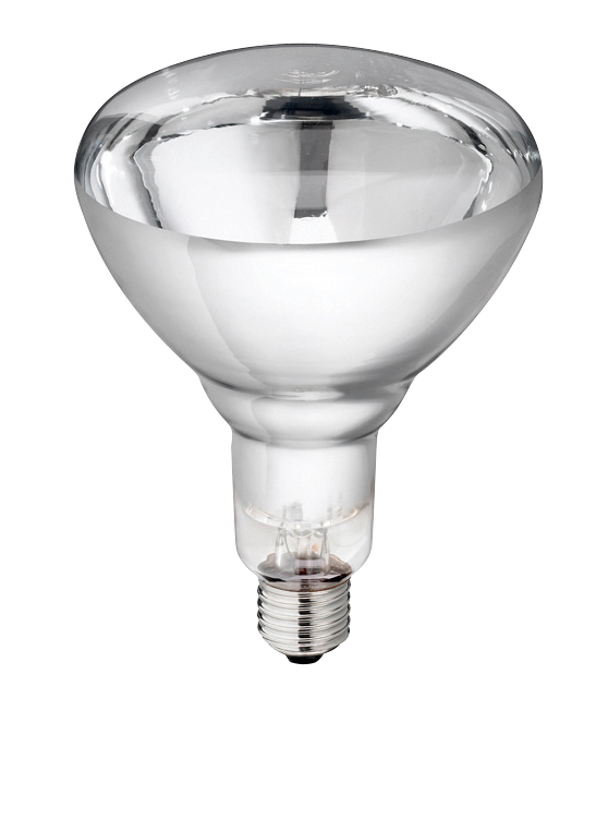 
  Hard Glas Lamp 250 W - Wit - artikelnummer LAMP0004D

