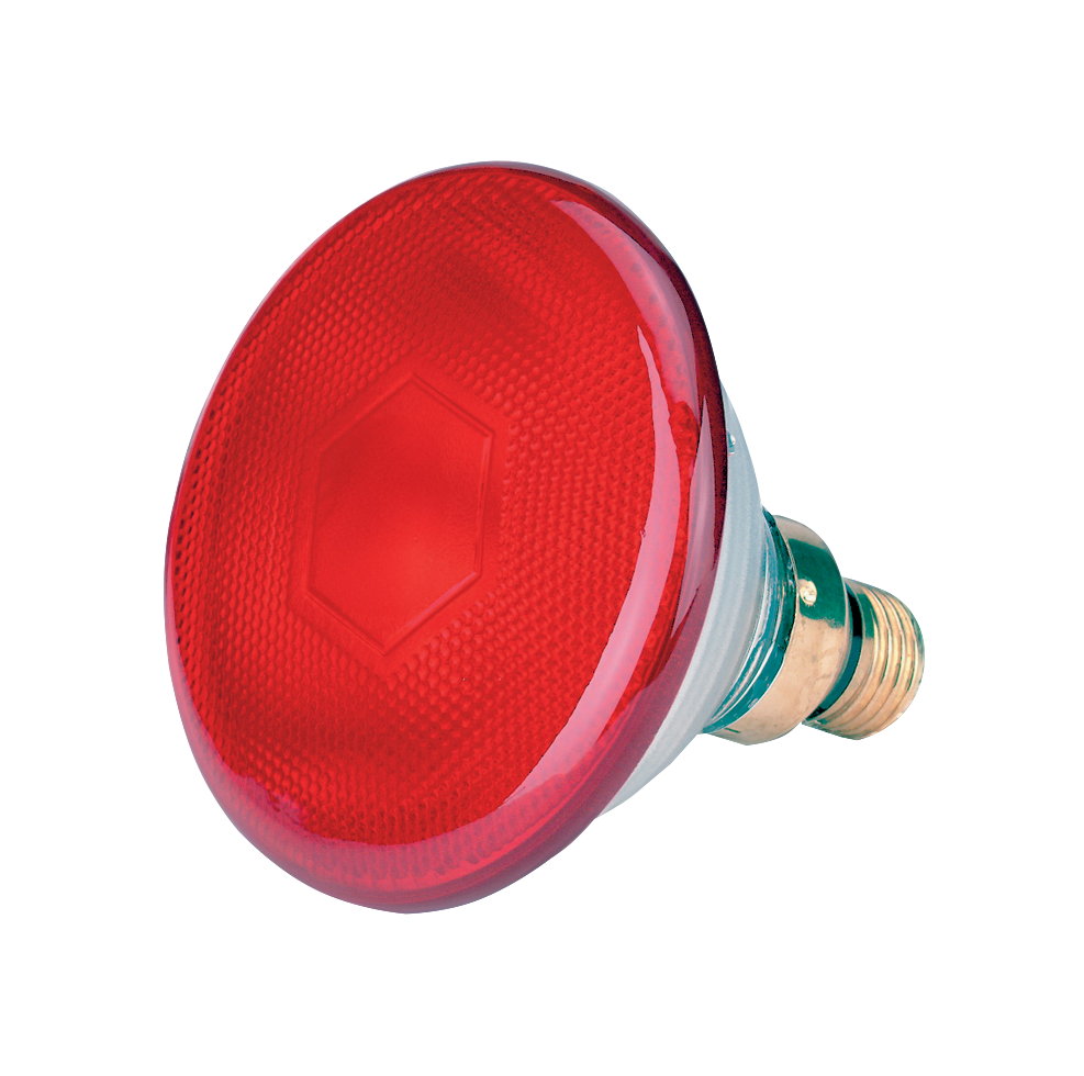 Spaarlamp 100 W Rood