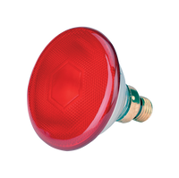 Spaarlamp 100 W Rood