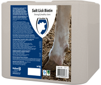 Excellent Liksteen Biotin 10 kg