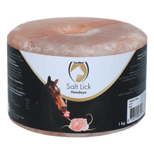 Excellent Horse Salt Lick Himalaya 1 kg