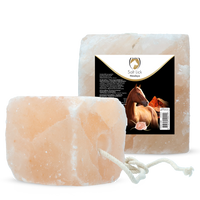 Excellent Horse Salt Lick Himalaya 2-3 kg (Met touw)
