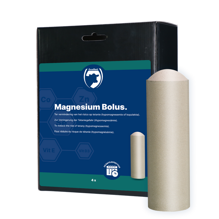 
  Excellent Magnesium Bolus 4 x 180 g - Artikelnummer MAGN0047
