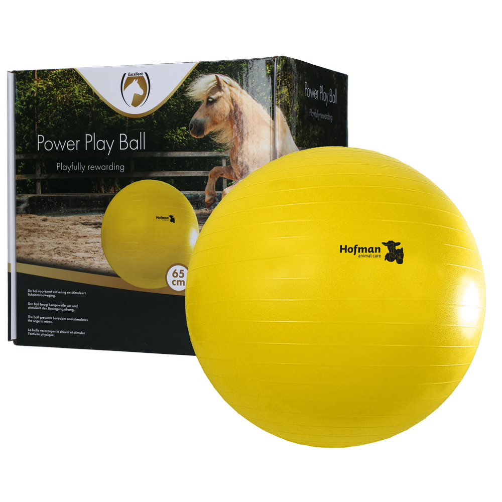 Maximus Power Play Ball 65 cm