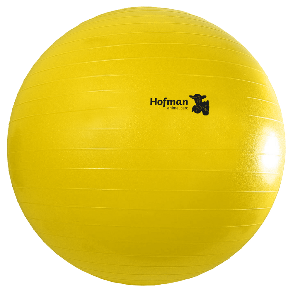 Maximus Power Play Ball 75 cm