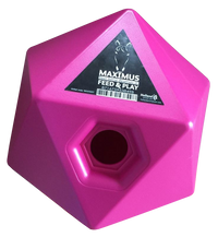 Maximus Feed & Play Roze