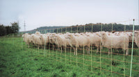 Euro-Netz Combi 106 cm dubbelpunt