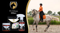 Excellent Horse Hi Gloss Stencils 5 stuks