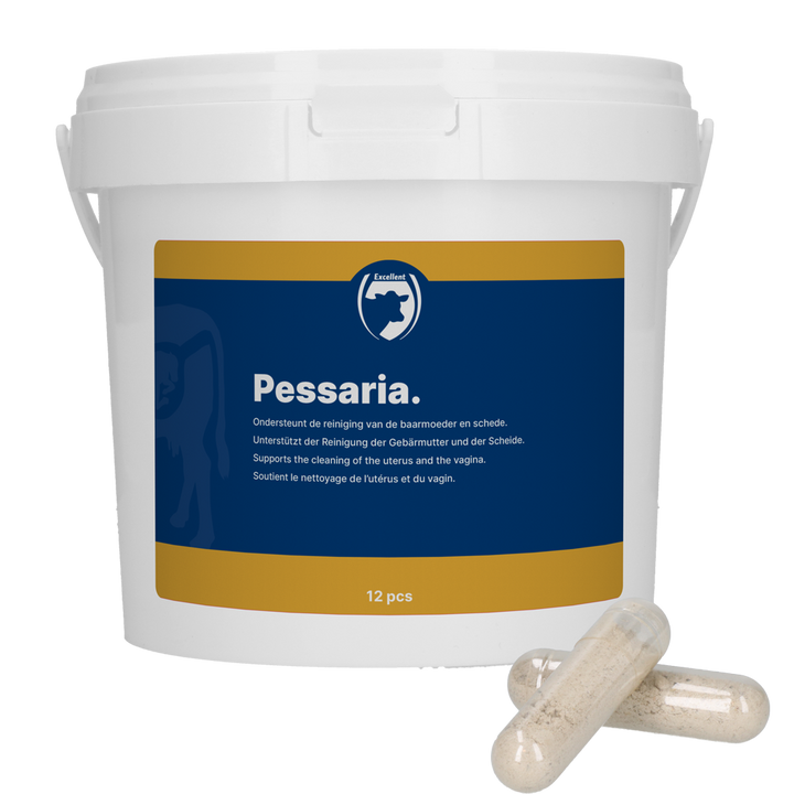 
  Excellent Pessaria Capsule 12 st - Artikelnummer PESS0010
