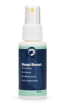 Excellent Respi Boost (Atem-Spray) 50 ml