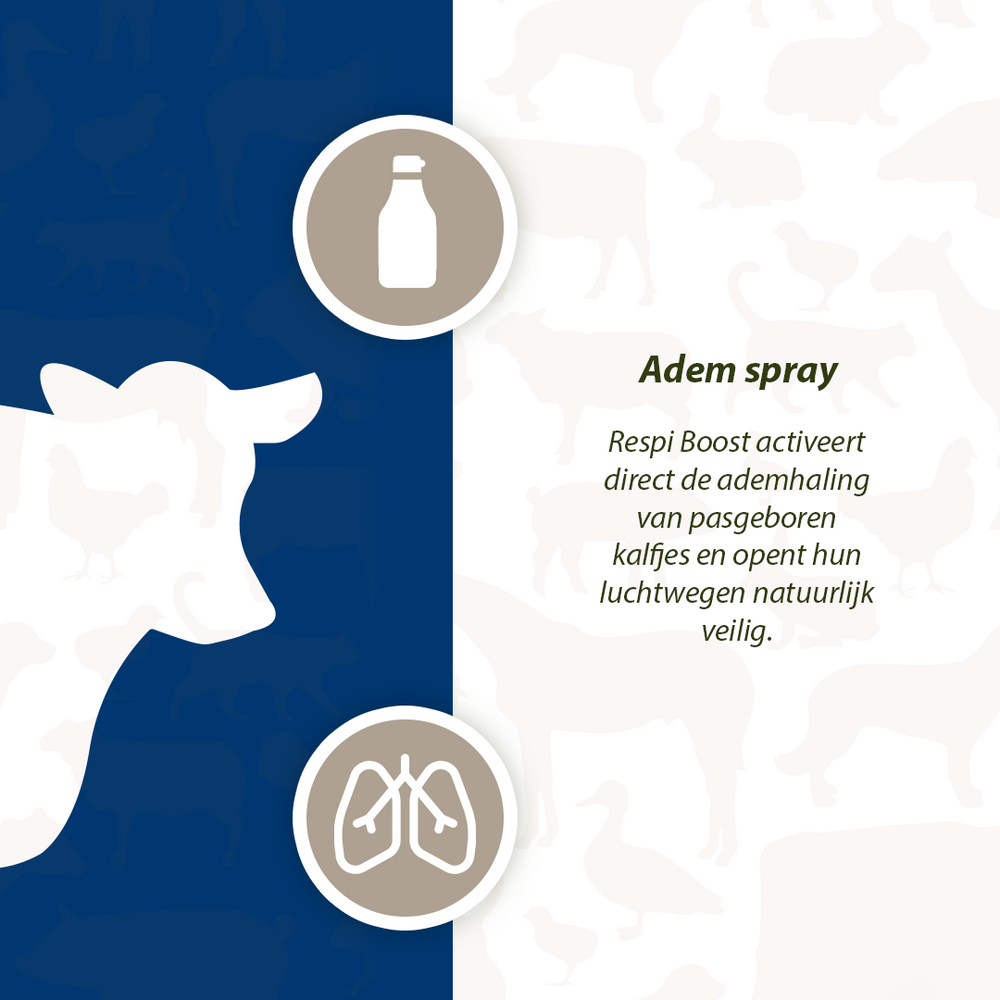 Excellent Respi Boost (Ademspray) 50 ml