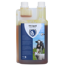 Excellent Vit Liquid Multivitamine 1 l