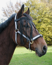 Vliegenfrontriem Paard maat: Full Pony