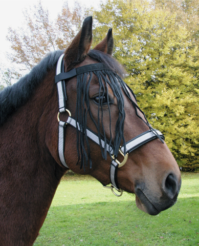 
  Vliegenfrontriem Paard maat: Full Pony - artikelnummer VLIE00402H
