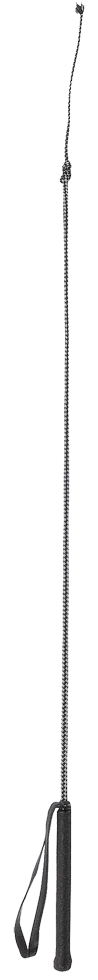 
  Rijzweep fiber 90cm zwart - artikelnummer ZWEE0007P

