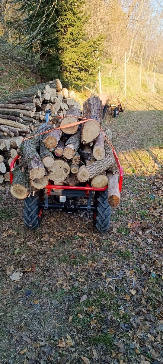 GeoTech CAR 300T-T PLUS Akku-Motorschubkarre Tragfähigkeit 300 kg, 40 V 6 Ah, im Einsatz bei einem Anwender (Foto 1)