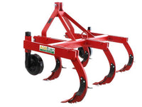 AgriEuro TOP-LINE Serie 170 Romagna woeler 170 cm, 5 tanden, detail 6