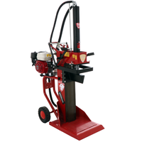 Ceccato Olindo BULL SPL16-TCH benzine houtklover, 16 ton | Rabe