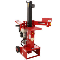 Ceccato Olindo SPL10H GP160 benzine houtklover, 10 ton, verticaal | Rabe