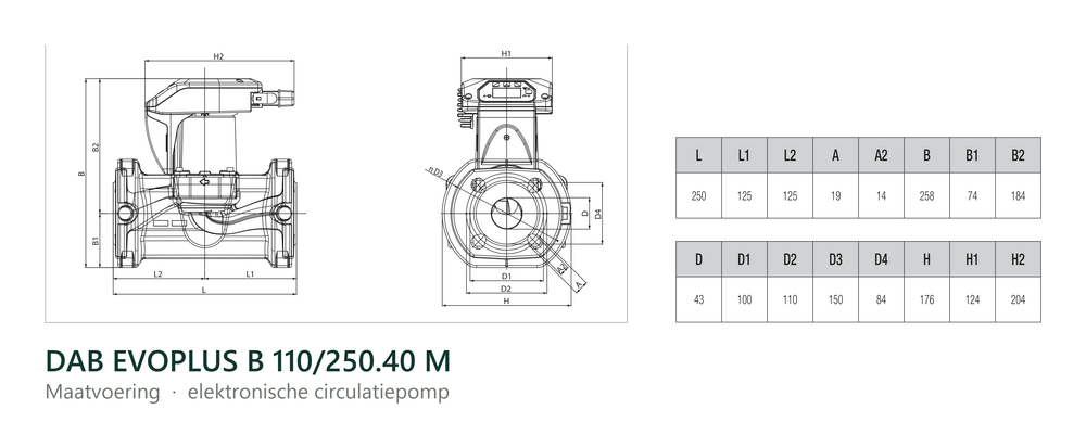 Maatvoering en aansluitmaten van de DAB EVOPLUS B 110/250.40 M
