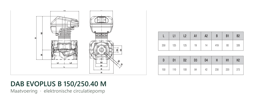 Maatvoering en aansluitmaten van de DAB EVOPLUS B 150/250.40 M