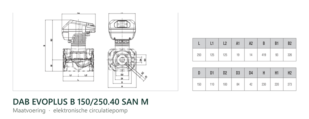 Maatvoering en aansluitmaten van de DAB EVOPLUS B 150/250.40 SAN M
