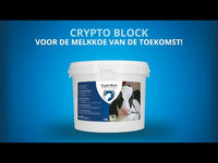 Cryptoblock (NL)