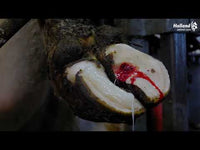 Easy2Do Glue (NL)
