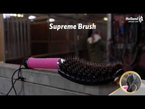 Excellent Horse - Supreme Brush (NL)