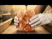 Excellent Horse Salt Lick Himalaya Production