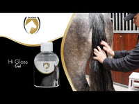 Excellent Horse - Hi Gloss Gel