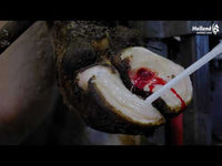 Easy Hoof Block Hout