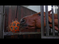 Hay Slow Feeder Fun & Flex - Paard
