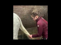 Lucky Horse - Gel