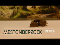 Mestonderzoek (NL)