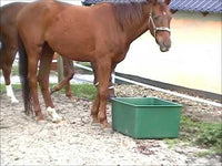 No. 8060 - Pasture trough for water and feed