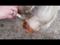 Hoof Oil Gel