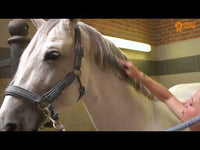 Glansspray | PaardenpraatTV